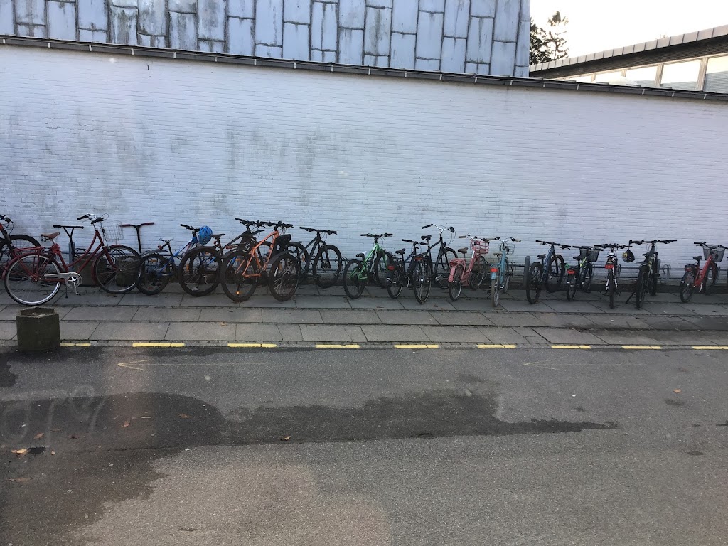 holte-skole-afd-ronnebaervej-0.jpeg