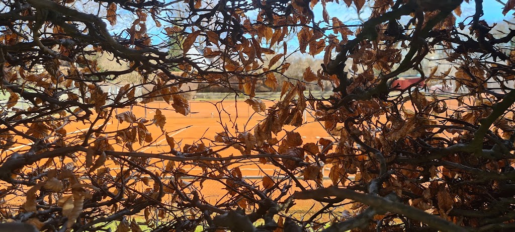 holte-tennisklub-7.jpeg