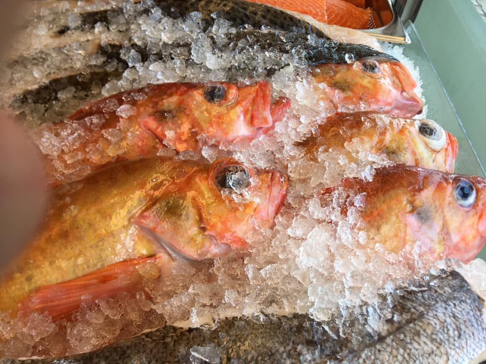 jettes-fisk-holte-fiskehandel-0.jpeg