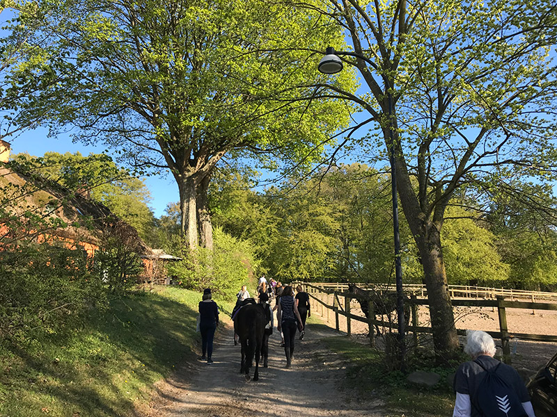 orholm-rideskole-7.jpeg