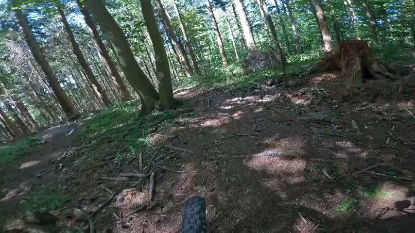 rude-bike-park-16.jpeg