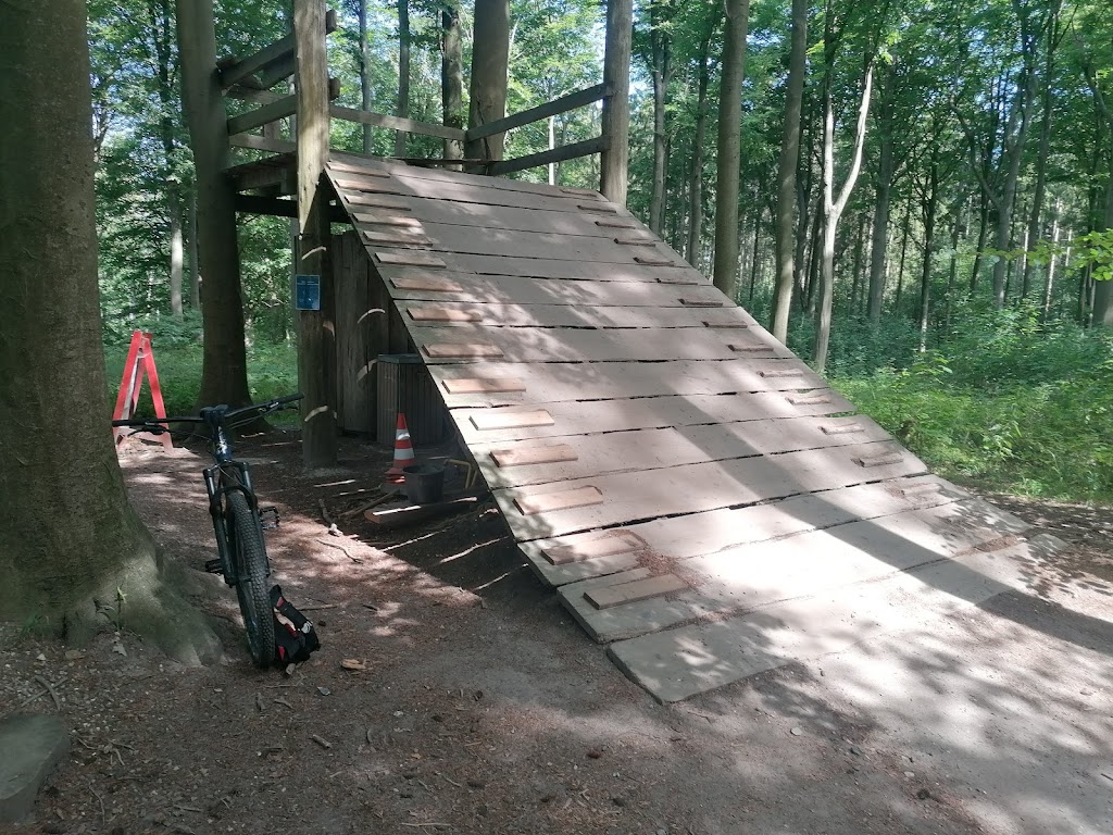 rude-bike-park-17.jpeg