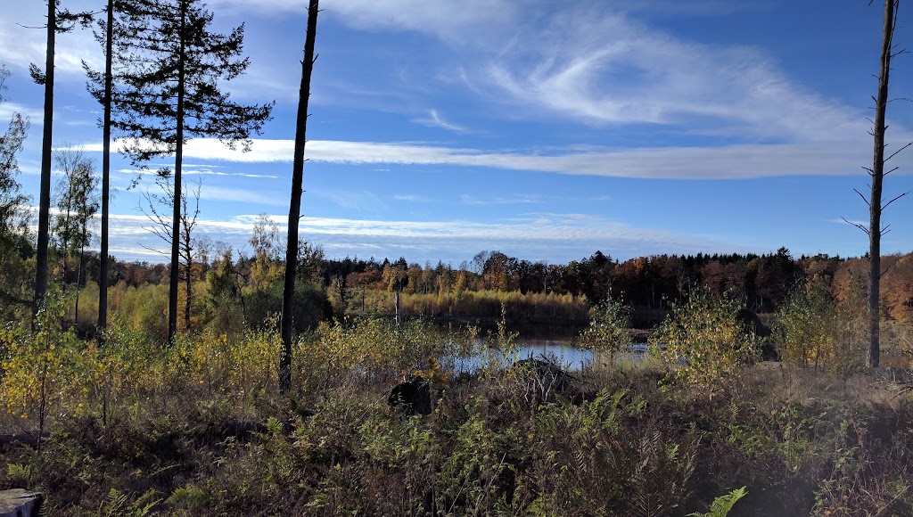 rudeskov-p-0.jpeg