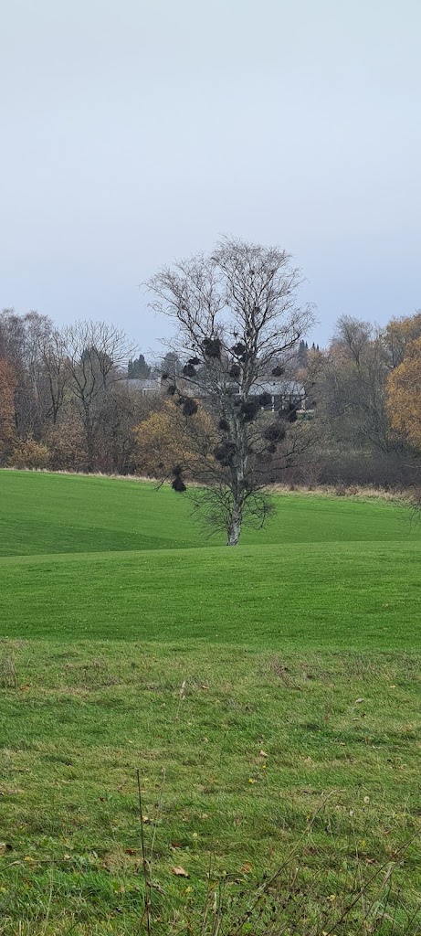 sollerod-golfklub-1.jpeg