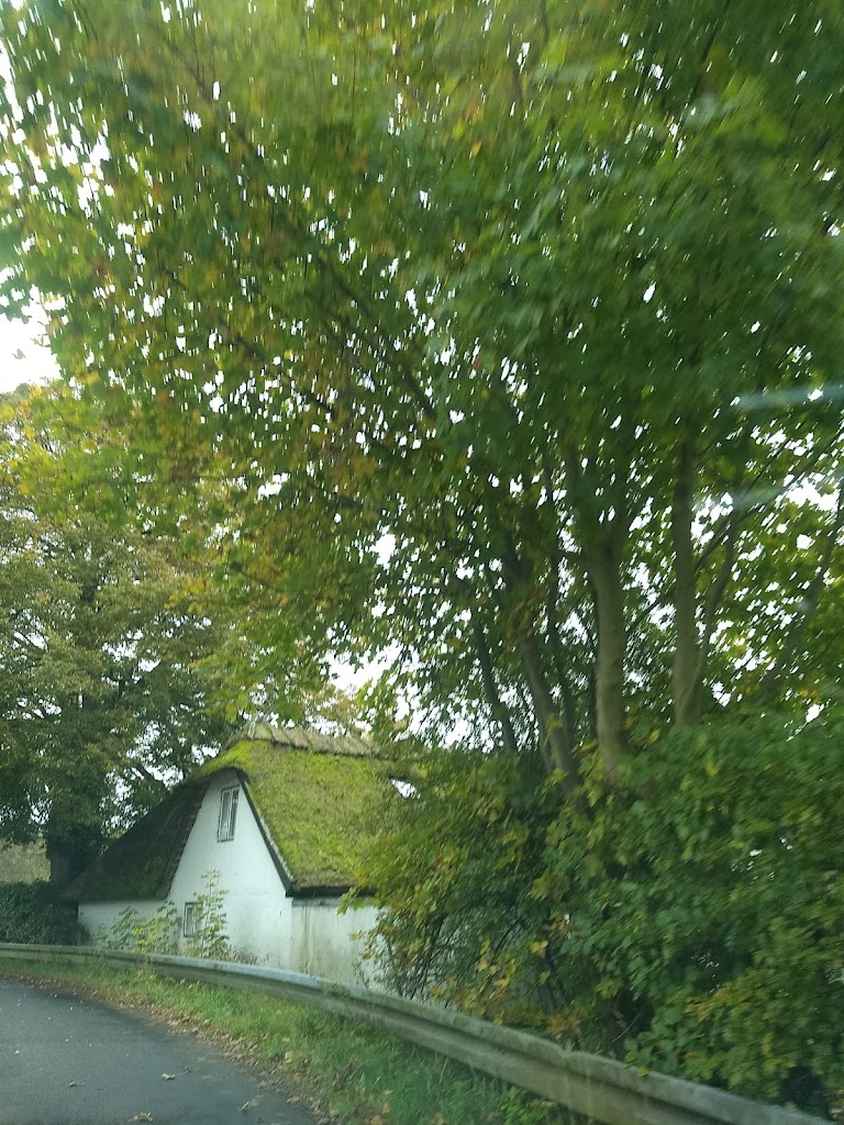 sollerod-golfklub-6.jpeg
