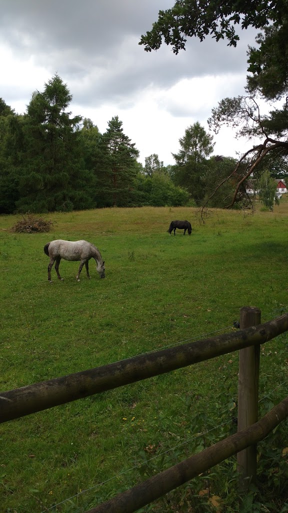 sollerod-golfklub-8.jpeg