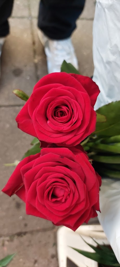 blomsten-by-ilse-jacobsen-12.jpeg
