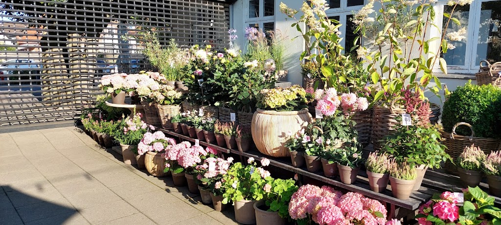 blomsten-by-ilse-jacobsen-2.jpeg