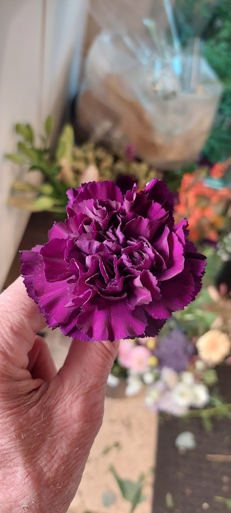 blomsten-by-ilse-jacobsen-6.jpeg