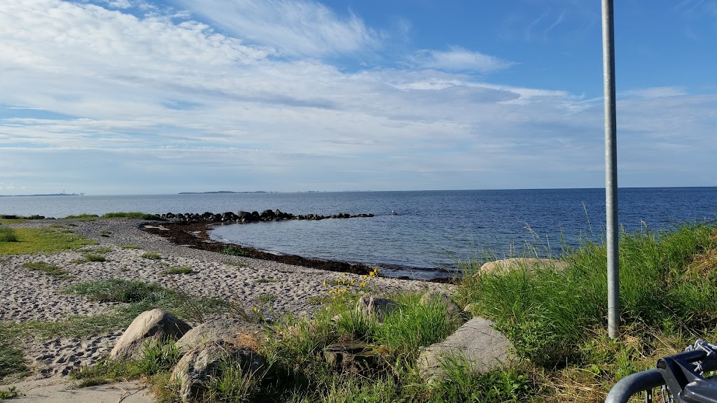 dcu-camping-hornbaek-15.jpeg