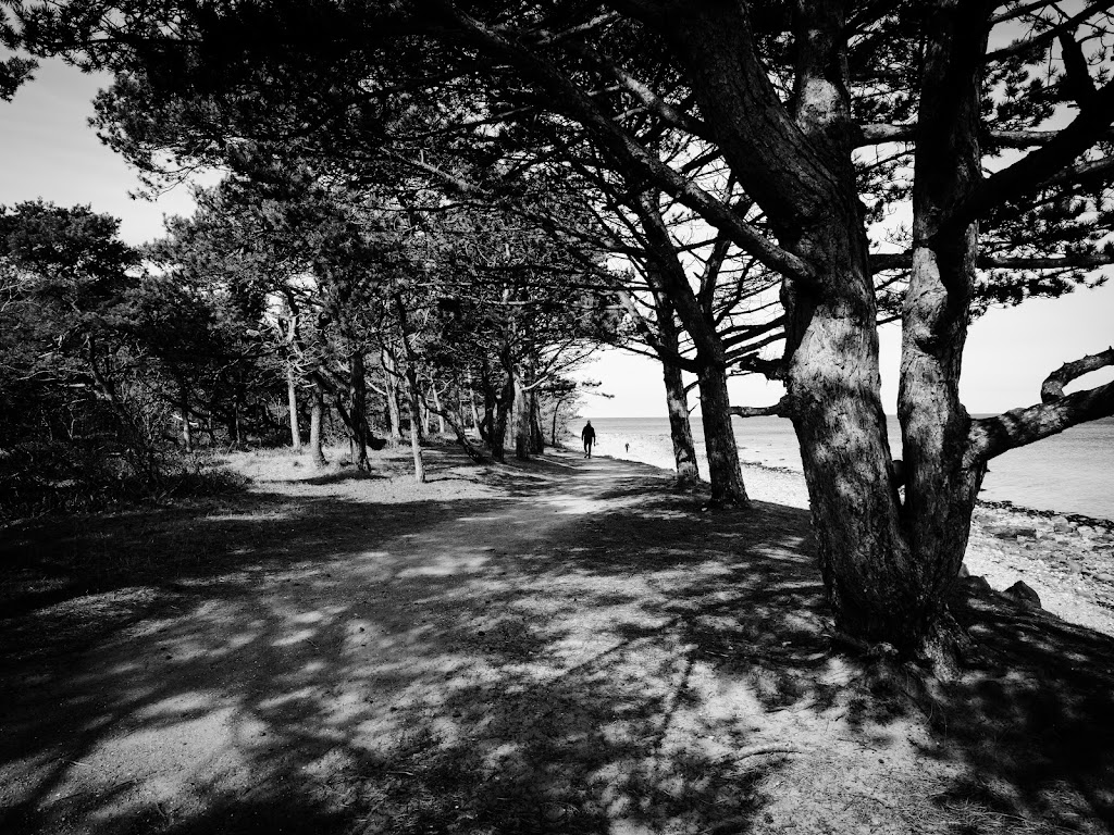 hornbaek-batteri-9.jpeg