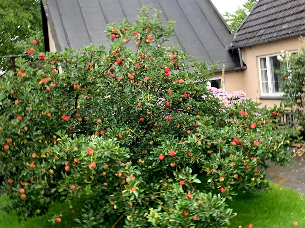 hornbaek-is-4.jpeg