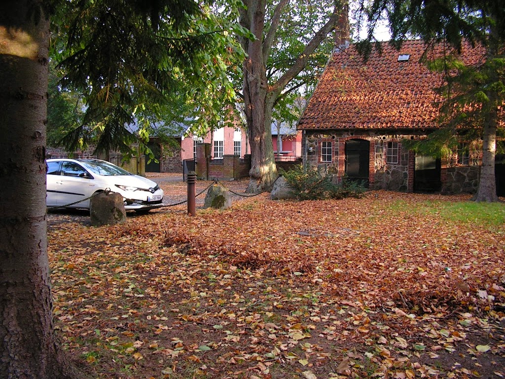 sauntegaard-6.jpeg