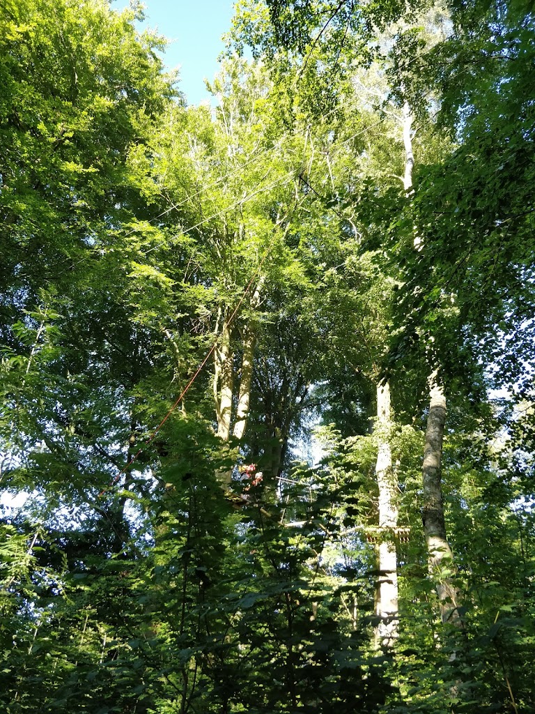 til-tops-havreholm-17.jpeg