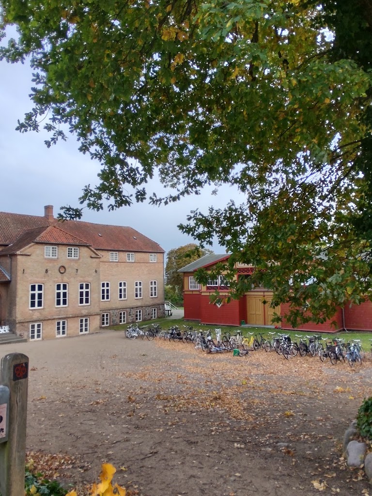 vallekilde-folk-high-school-5.jpeg