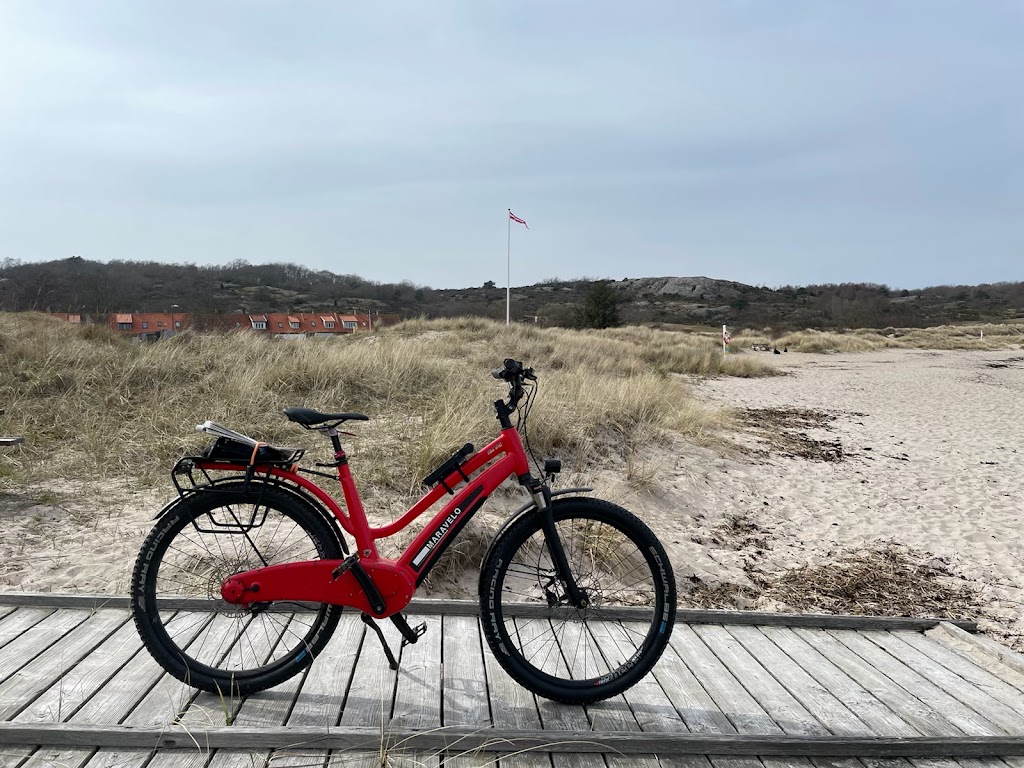 maravelo-hybrid-bicycle-club-12.jpeg