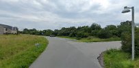 oldenburg-radgivning-6.jpeg