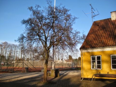 oresund-tennis-0.jpeg