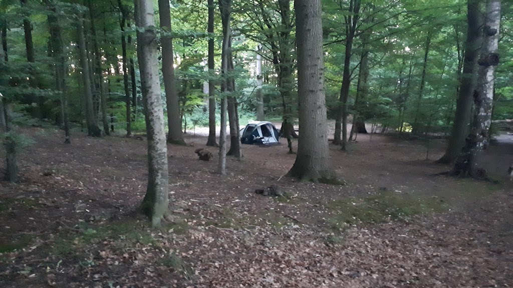 overnatningspladsen-ved-lave-skov-10.jpeg