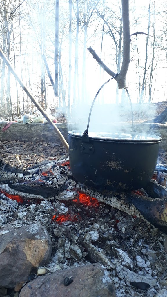 overnatningspladsen-ved-lave-skov-5.jpeg