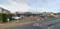 carsten-andersen-automobiler-2.jpeg