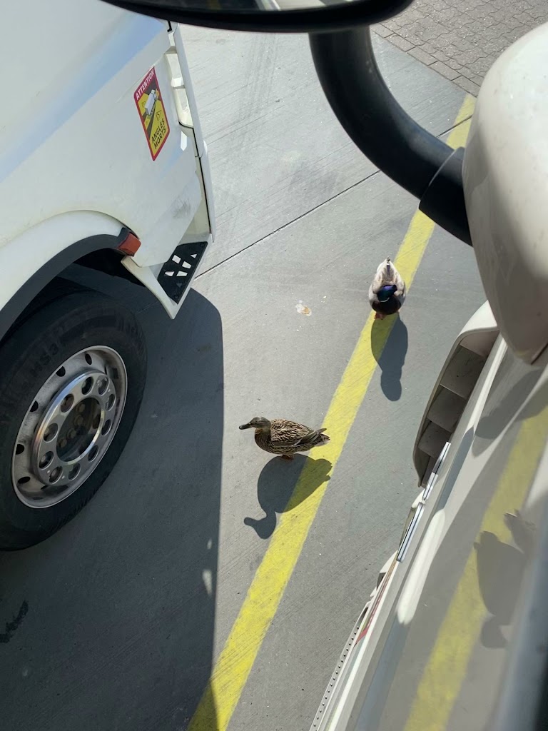 dachser-denmark-a-s-10.jpeg