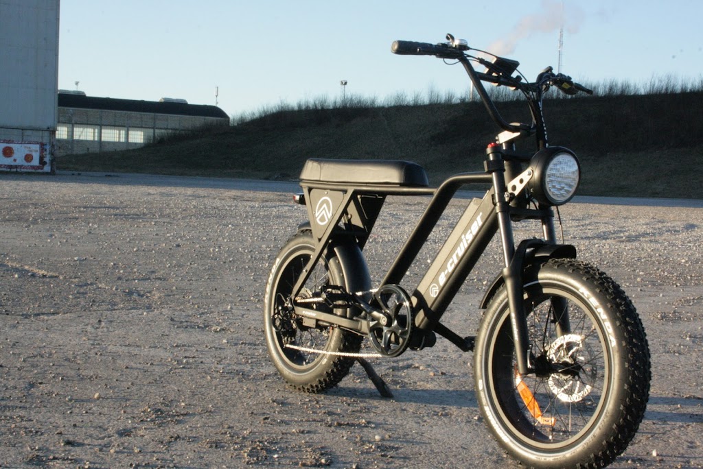 e-cruiser-2.jpeg