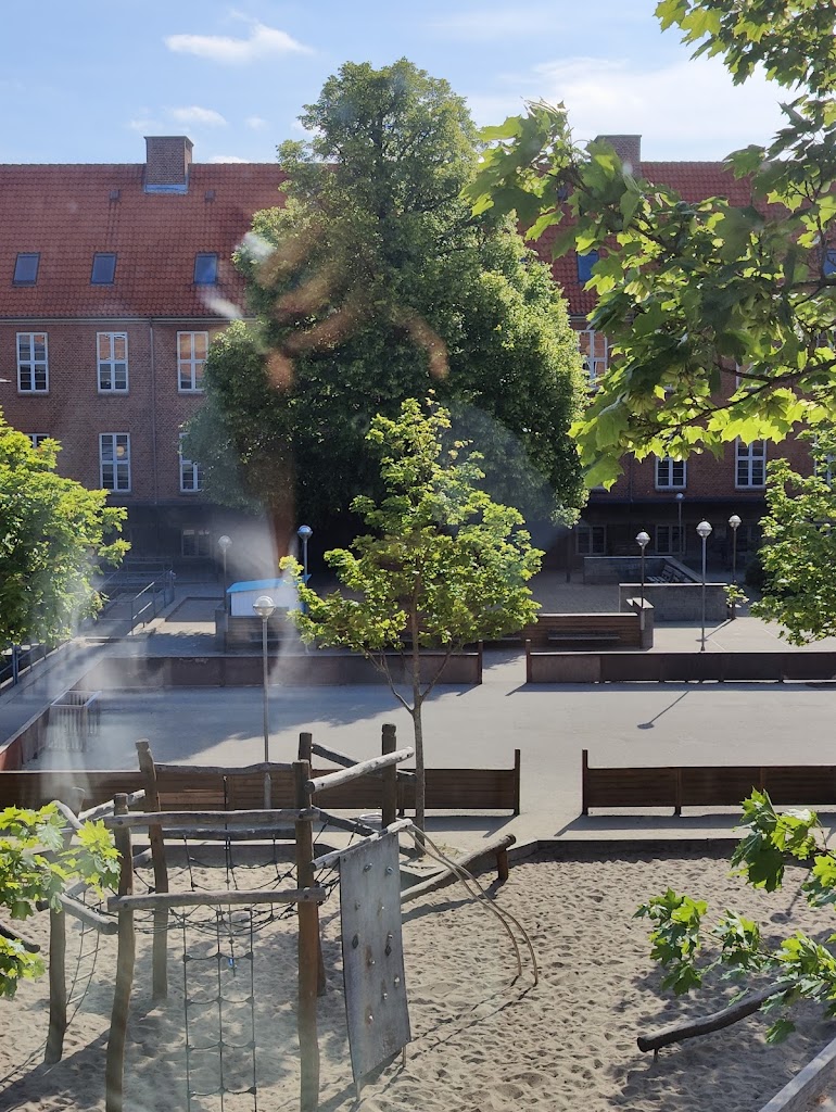 hvidovre-heldagsskole-0.jpeg