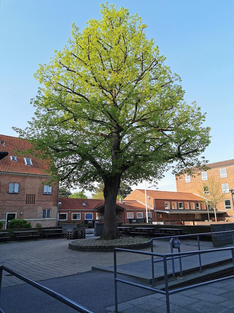 hvidovre-heldagsskole-4.jpeg