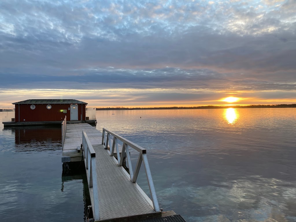 hvidovre-vinterbadere-sobadet-3.jpeg