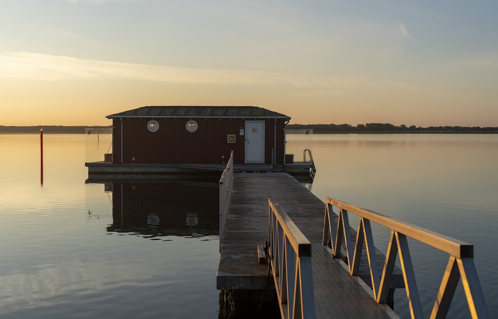 hvidovre-vinterbadere-sobadet-4.jpeg