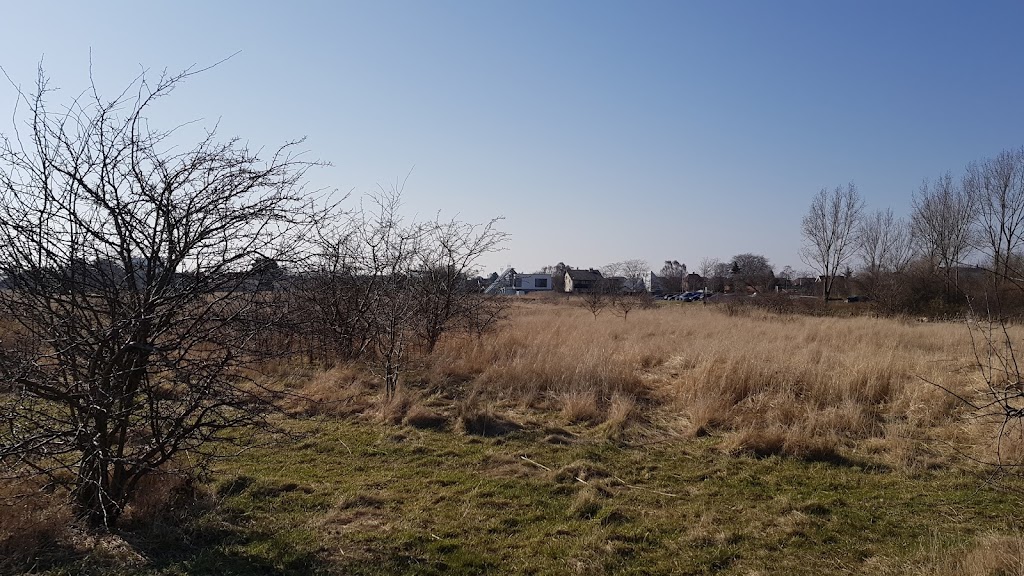 kystagerparken-0.jpeg