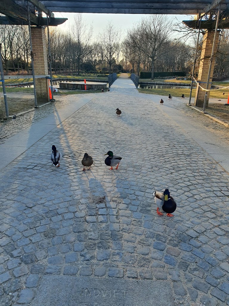 risbjerg-kapel-17.jpeg