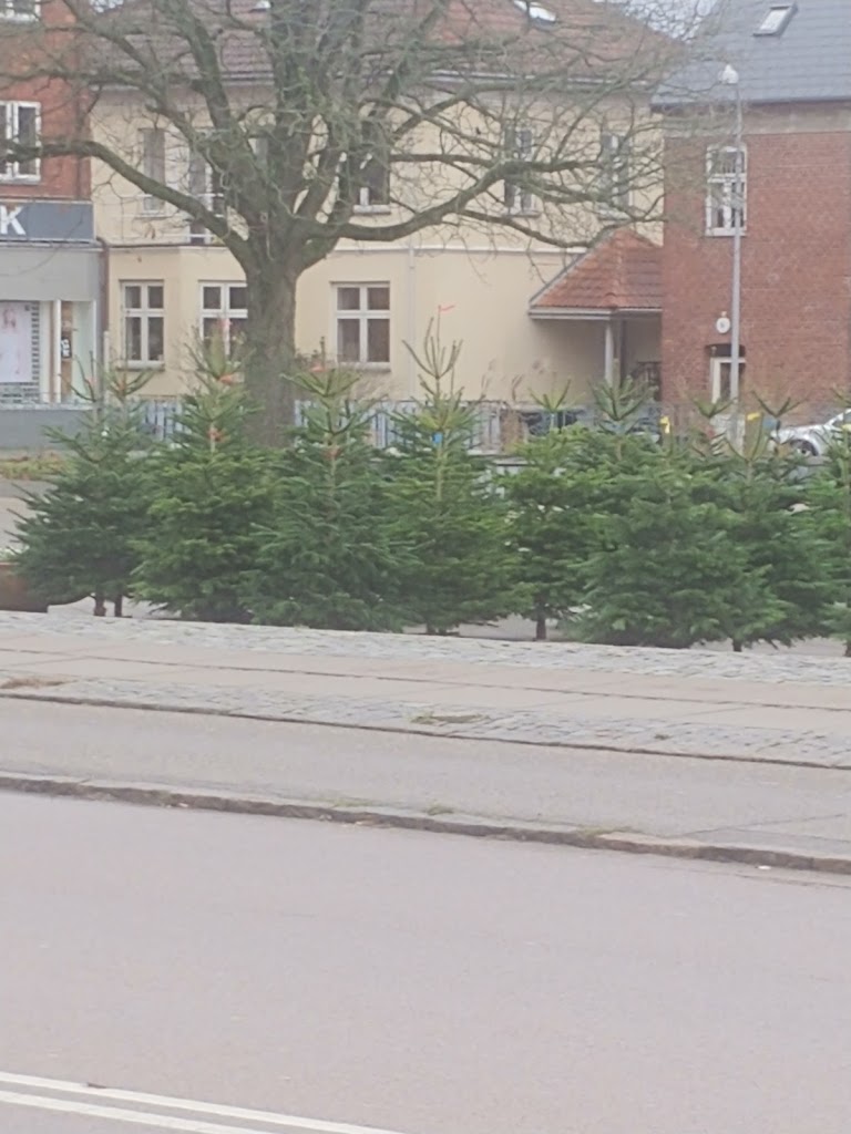 torvecafeen-12.jpeg