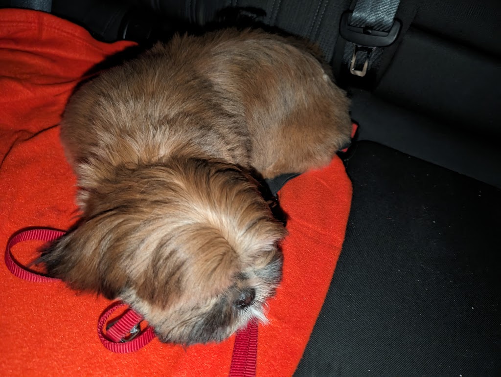 alfa-hundesalon-1.jpeg