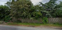 blomster-fra-nancy-2.jpeg