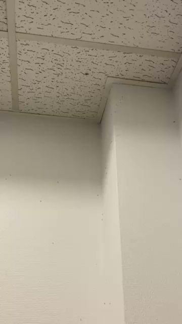 budget-rooms-copenhagen-17.jpeg