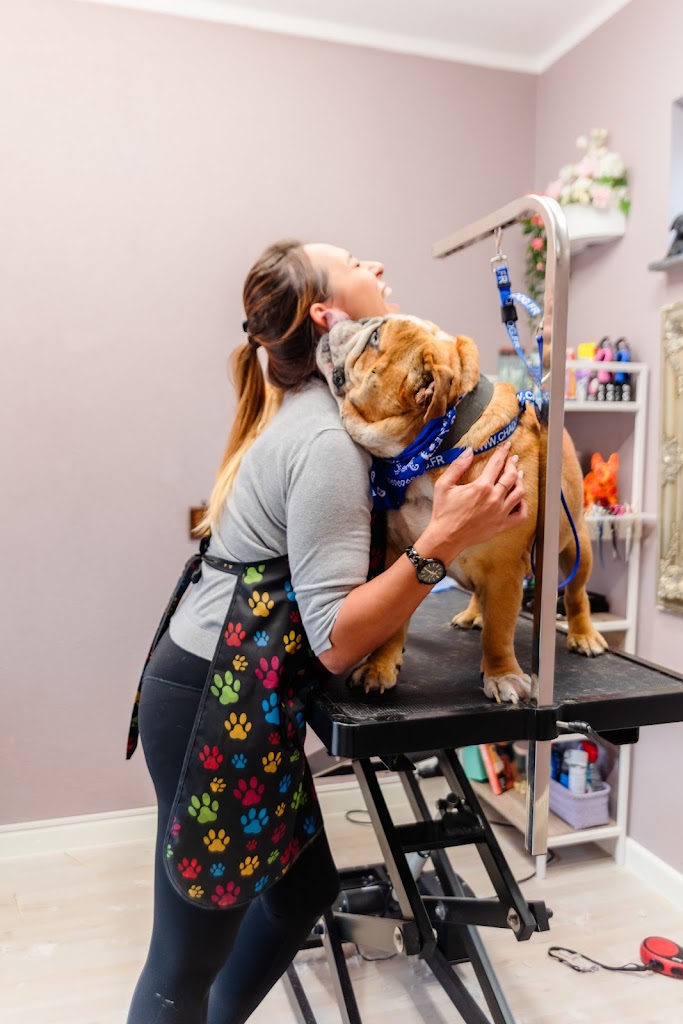 happy-dog-hundesalon-1.jpeg