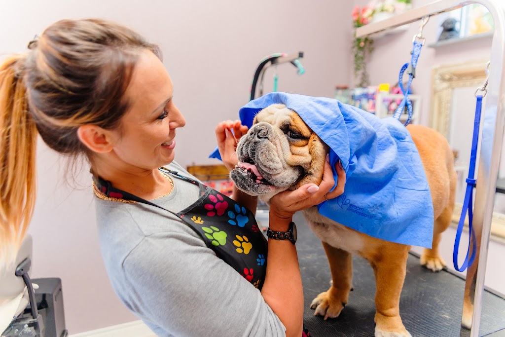 happy-dog-hundesalon-10.jpeg
