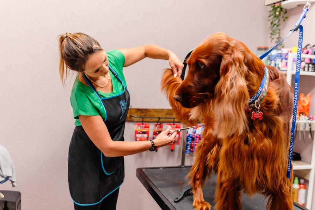 happy-dog-hundesalon-2.jpeg