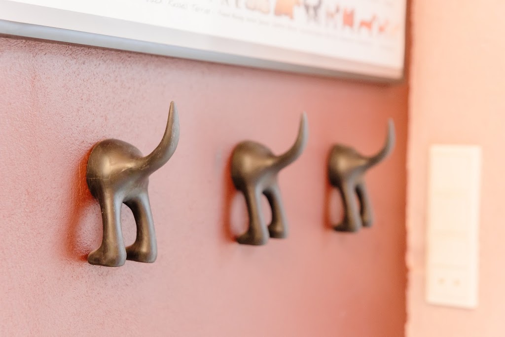 happy-dog-hundesalon-7.jpeg