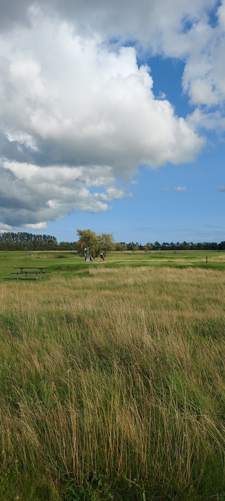 ishoj-golf-center-0.jpeg