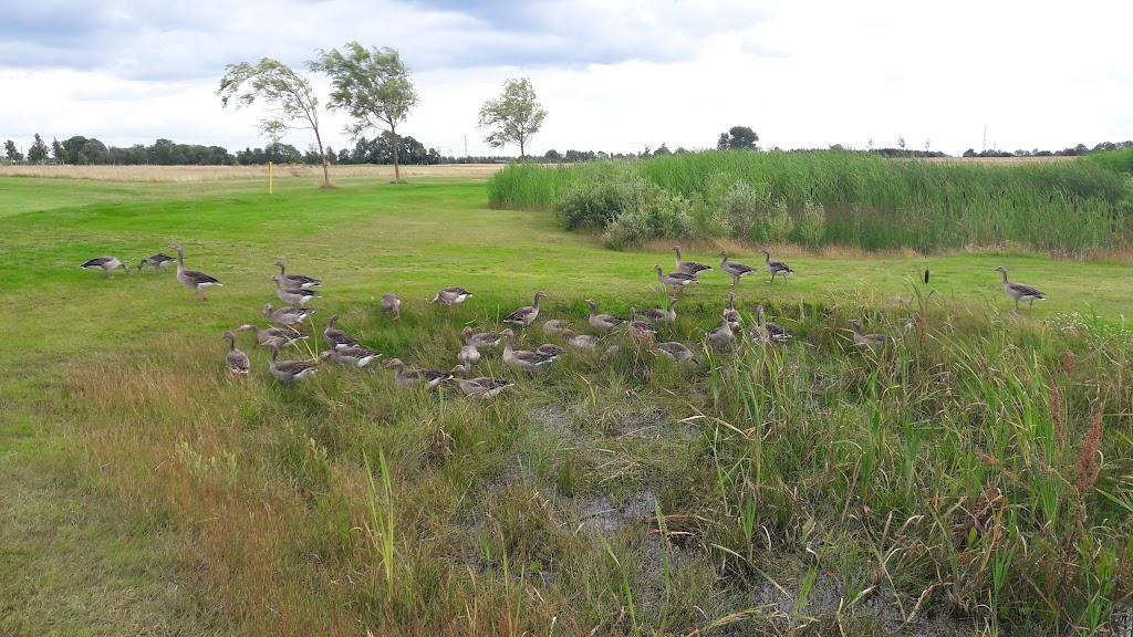 ishoj-golf-center-13.jpeg
