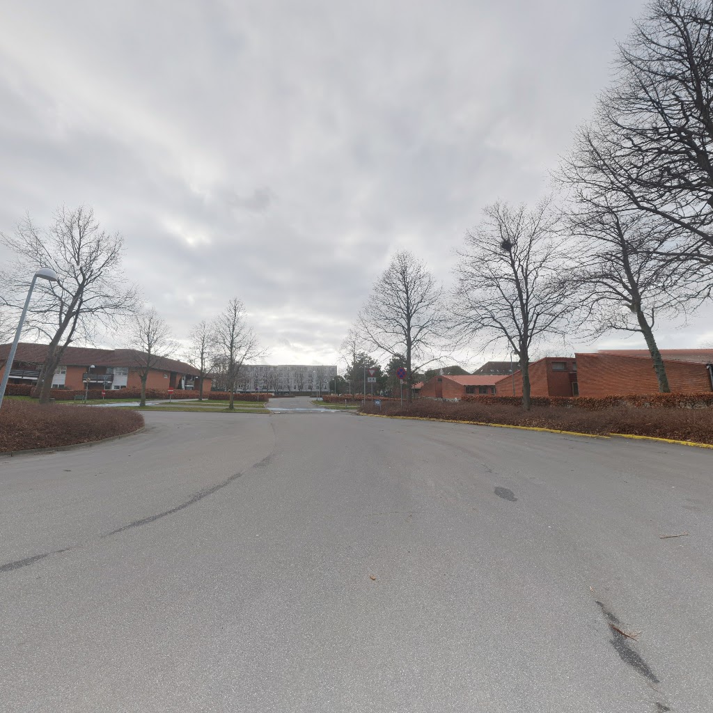 ishoj-idraetscenter-halinspektorens-kontor-1.jpeg
