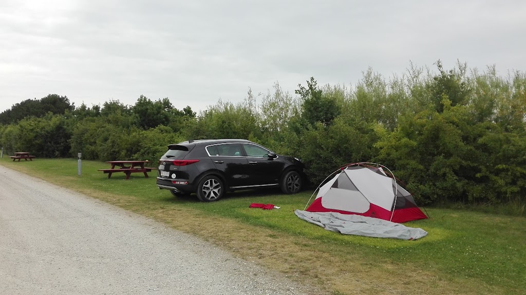 ishoj-strand-camping-18.jpeg