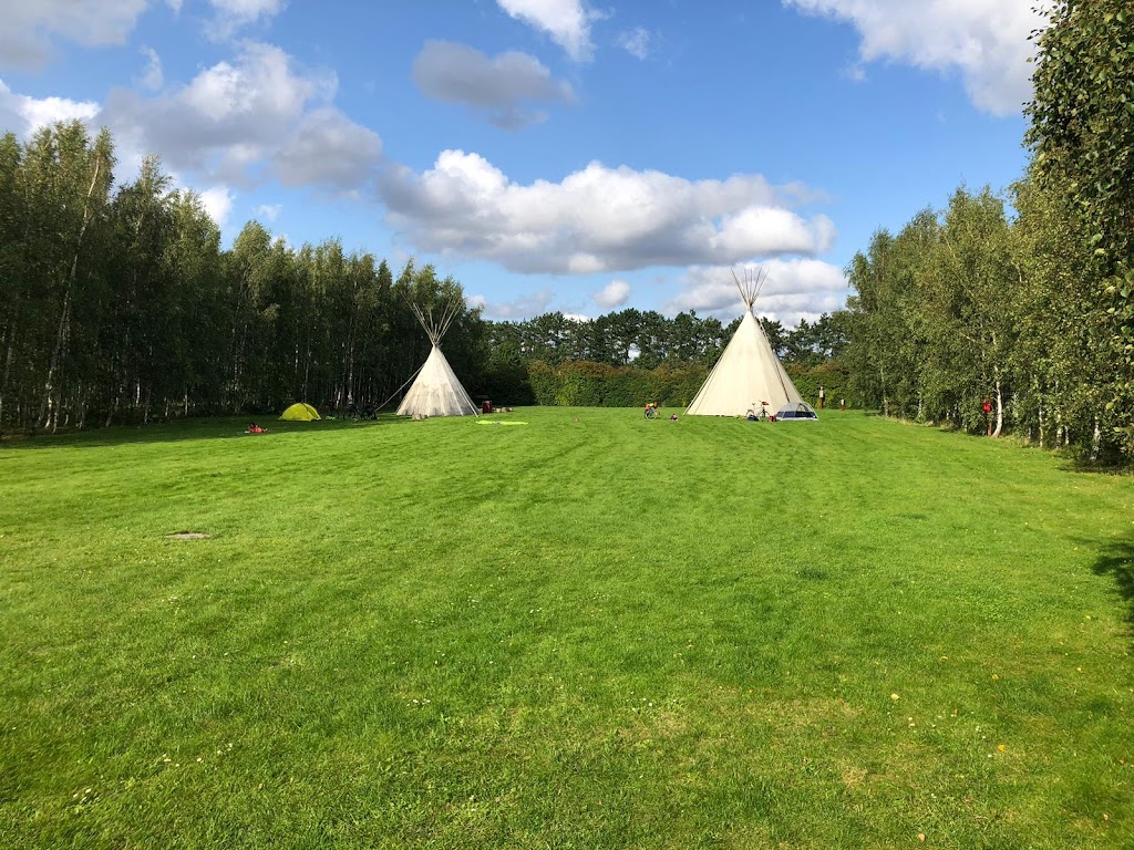 ishoj-strand-camping-4.jpeg