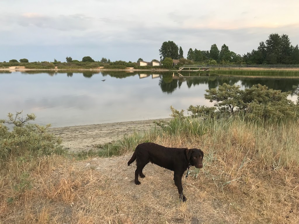 ishoj-strandpark-hundeomrade-3.jpeg