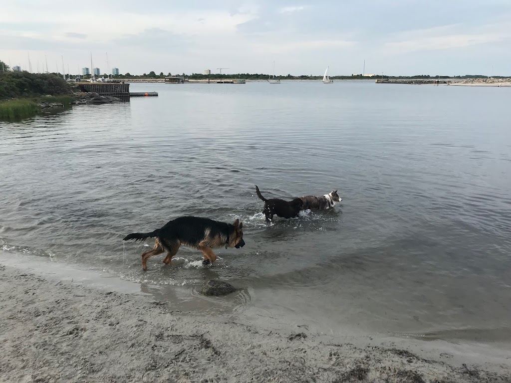 ishoj-strandpark-hundeomrade-8.jpeg