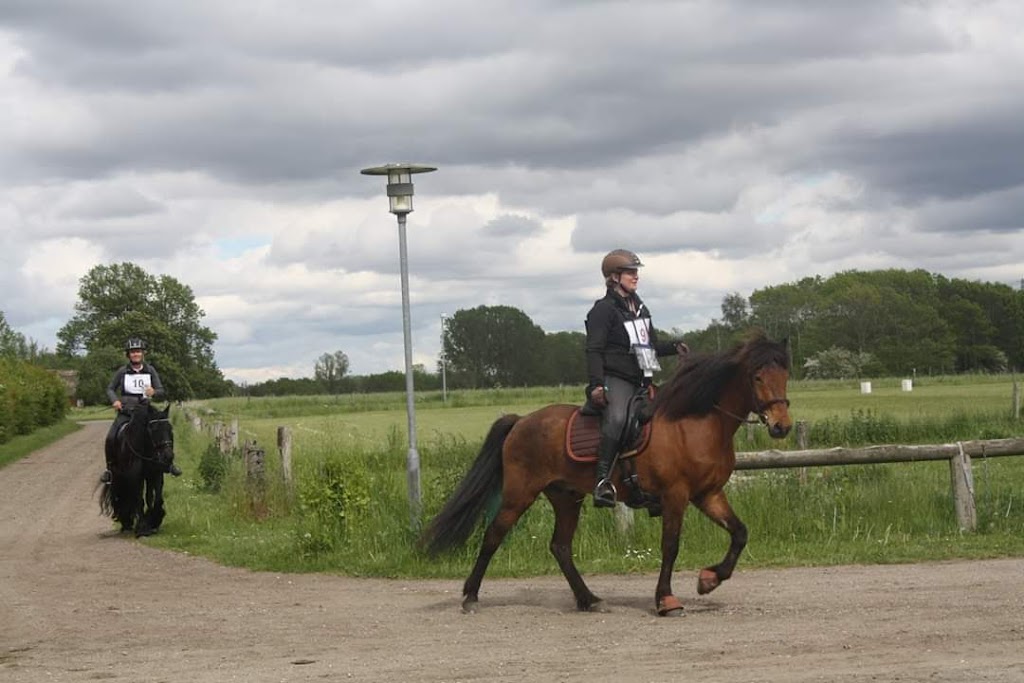 ishojsportsrideklub-5.jpeg