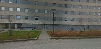 maler-gruppen-2.jpeg